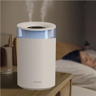 2.5L Dual Mist Essential Oil Humidifier